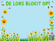 Wijkplatform De Lors